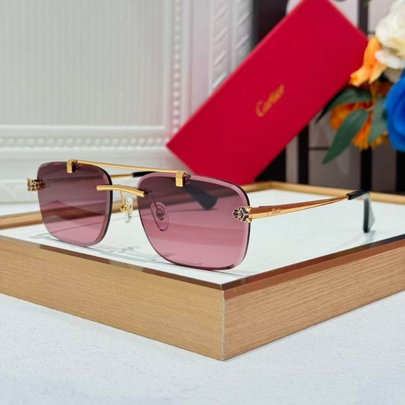 Cartier Glasses 08smh254 (3)