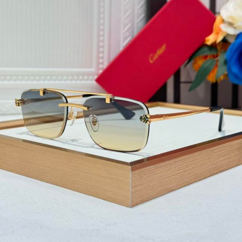 Cartier Glasses 08smh254 (4)