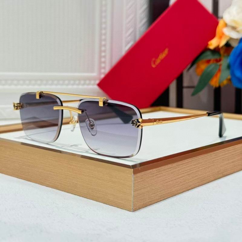 Cartier Glasses 08smh254 (5)