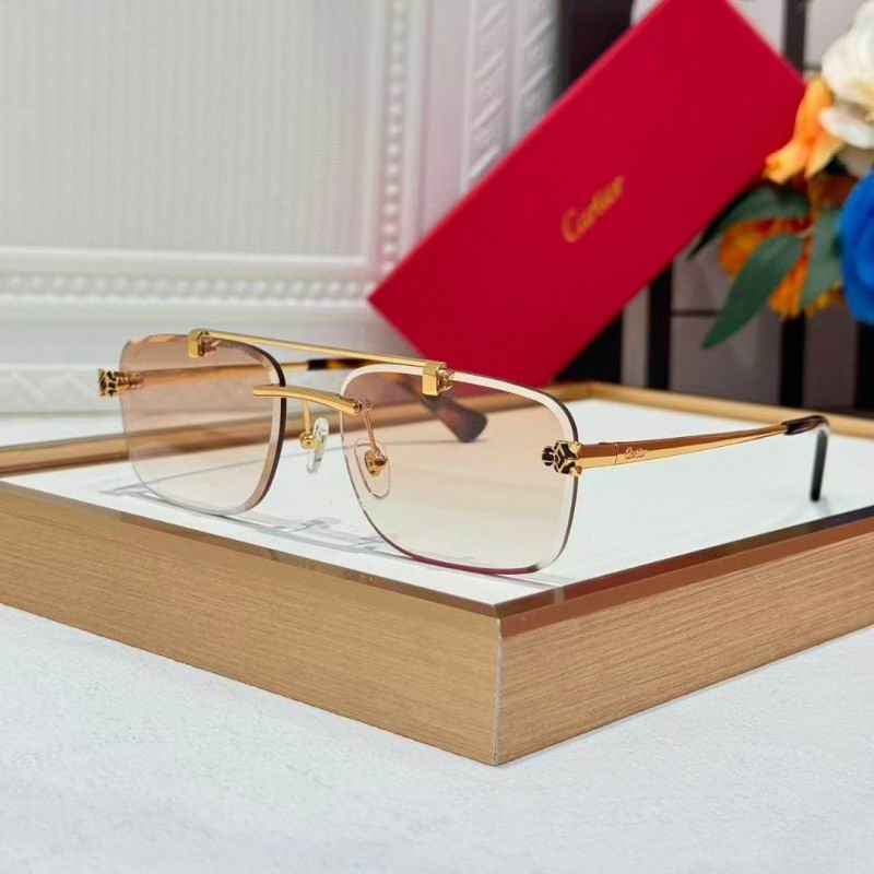 Cartier Glasses 08smh254 (6)