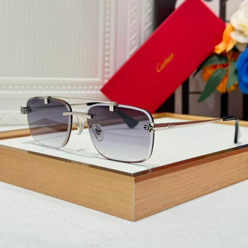 Cartier Glasses 08smh254 (7)