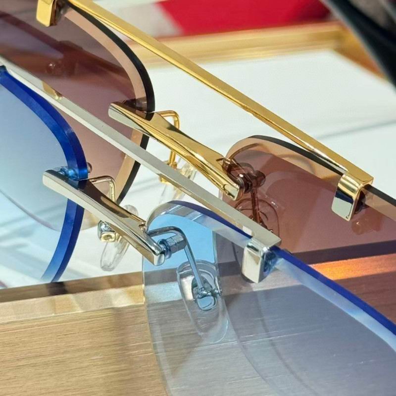 Cartier Glasses 08smh254 (8)