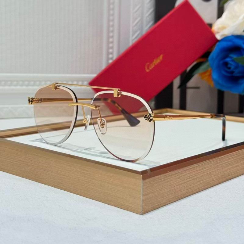 Cartier Glasses 08smh255 (1)