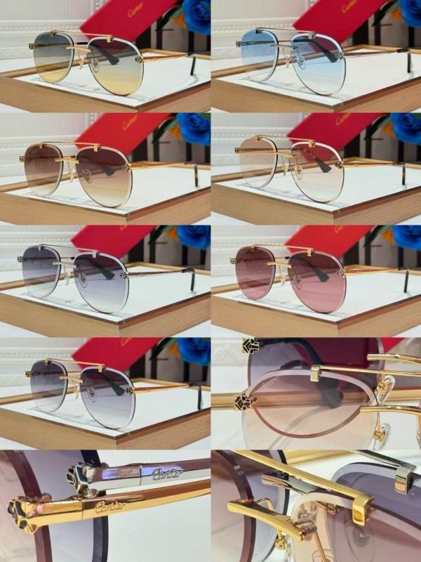 Cartier Glasses 08smh255 (10)