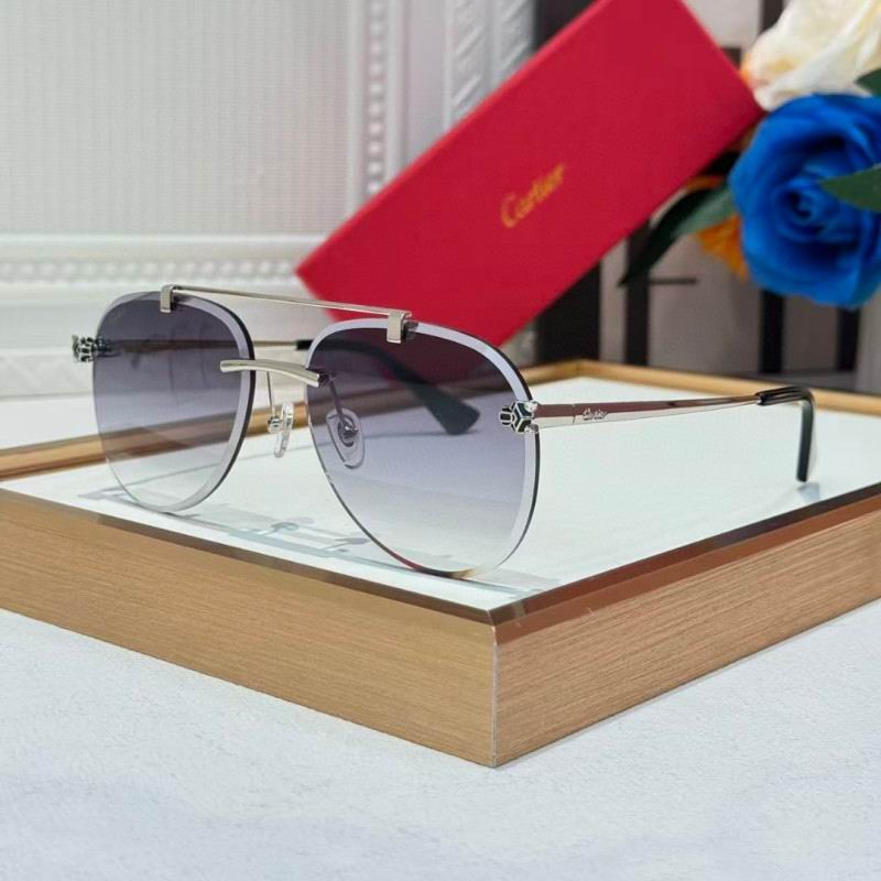 Cartier Glasses 08smh255 (2)