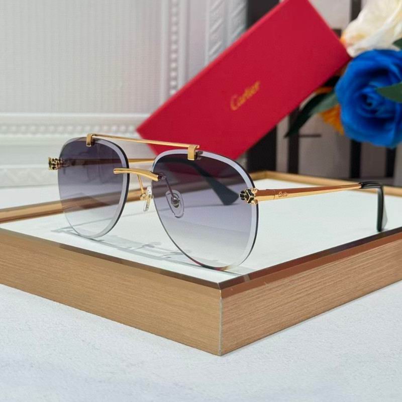 Cartier Glasses 08smh255 (3)