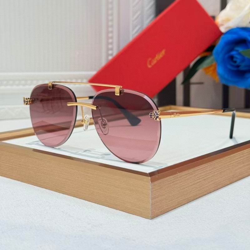 Cartier Glasses 08smh255 (4)