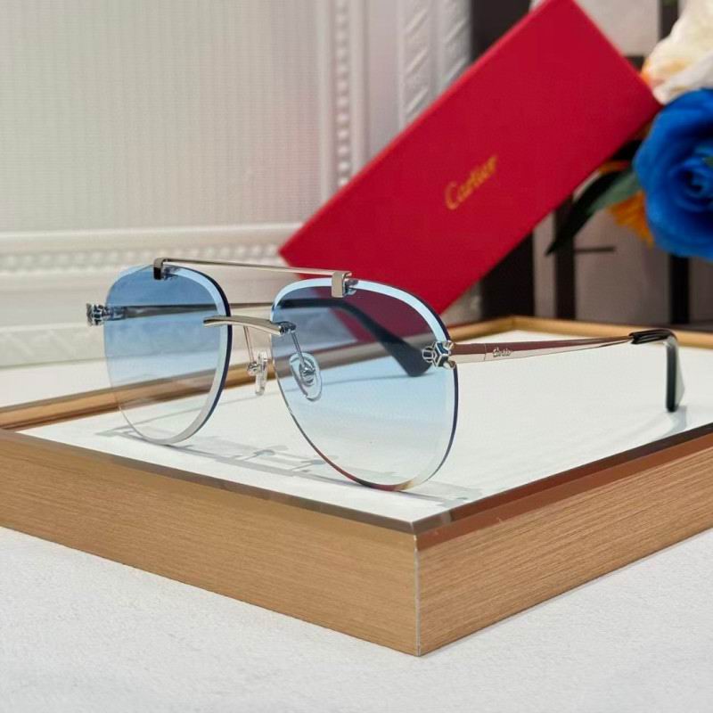 Cartier Glasses 08smh255 (5)