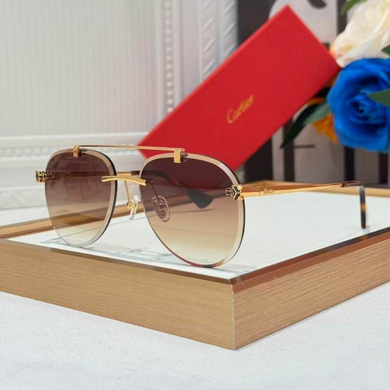 Cartier Glasses 08smh255 (6)