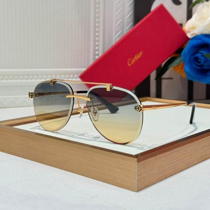 Cartier Glasses 08smh255 (7)