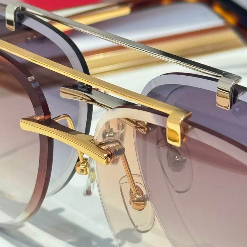 Cartier Glasses 08smh255 (8)