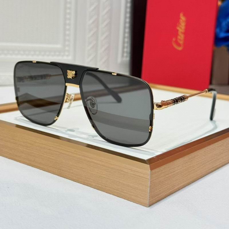 Cartier Glasses 08smh256 (1)