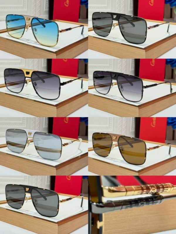 Cartier Glasses 08smh256 (10)