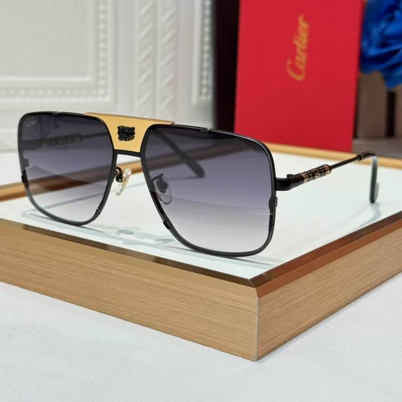 Cartier Glasses 08smh256 (3)