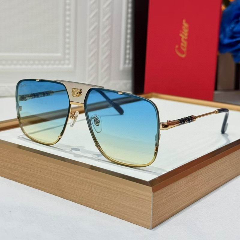 Cartier Glasses 08smh256 (4)