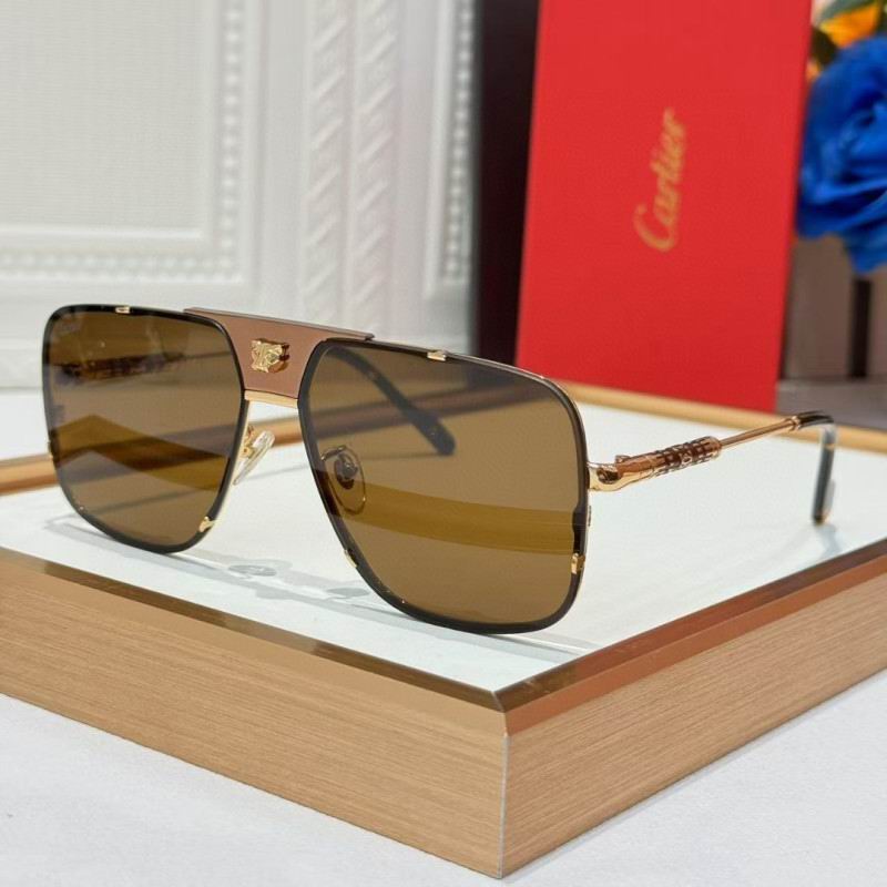 Cartier Glasses 08smh256 (5)