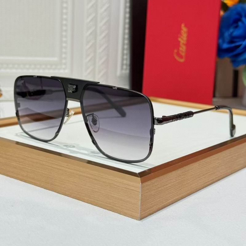 Cartier Glasses 08smh256 (6)