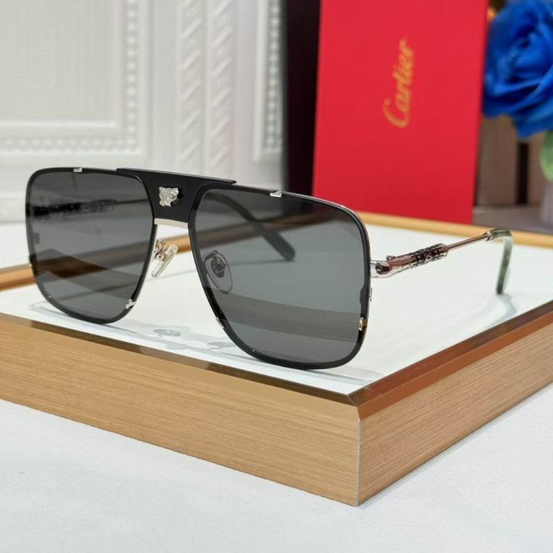 Cartier Glasses 08smh256 (7)