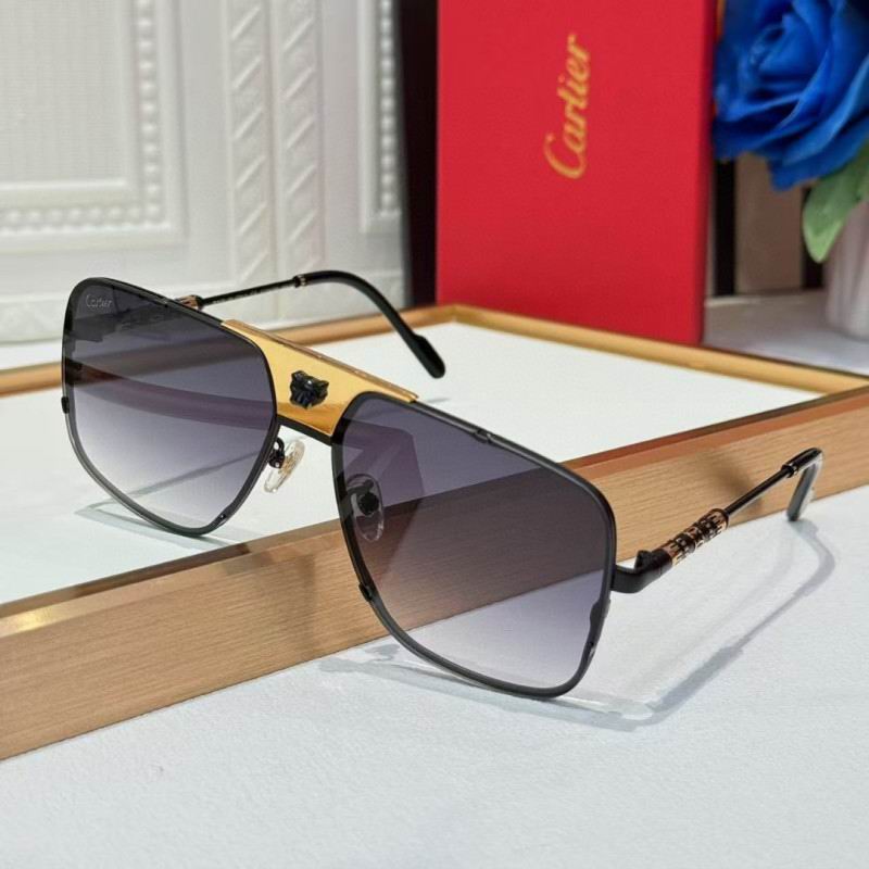 Cartier Glasses 08smh256 (8)