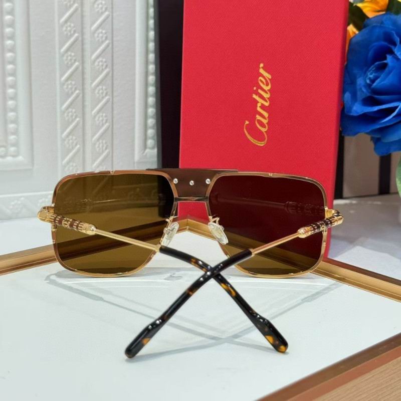 Cartier Glasses 08smh256 (9)