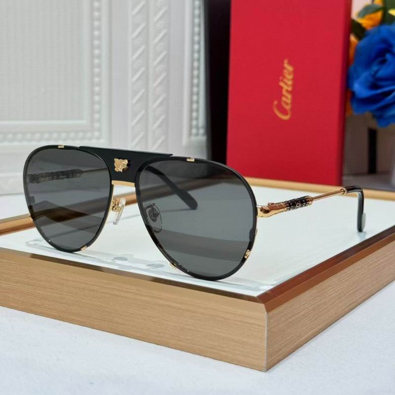 Cartier Glasses 08smh257 (1)