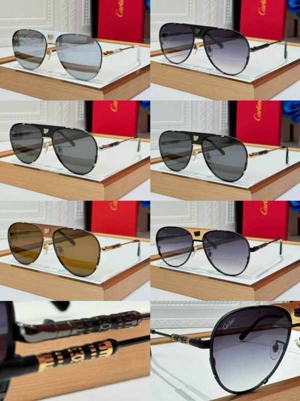 Cartier Glasses 08smh257 (10)