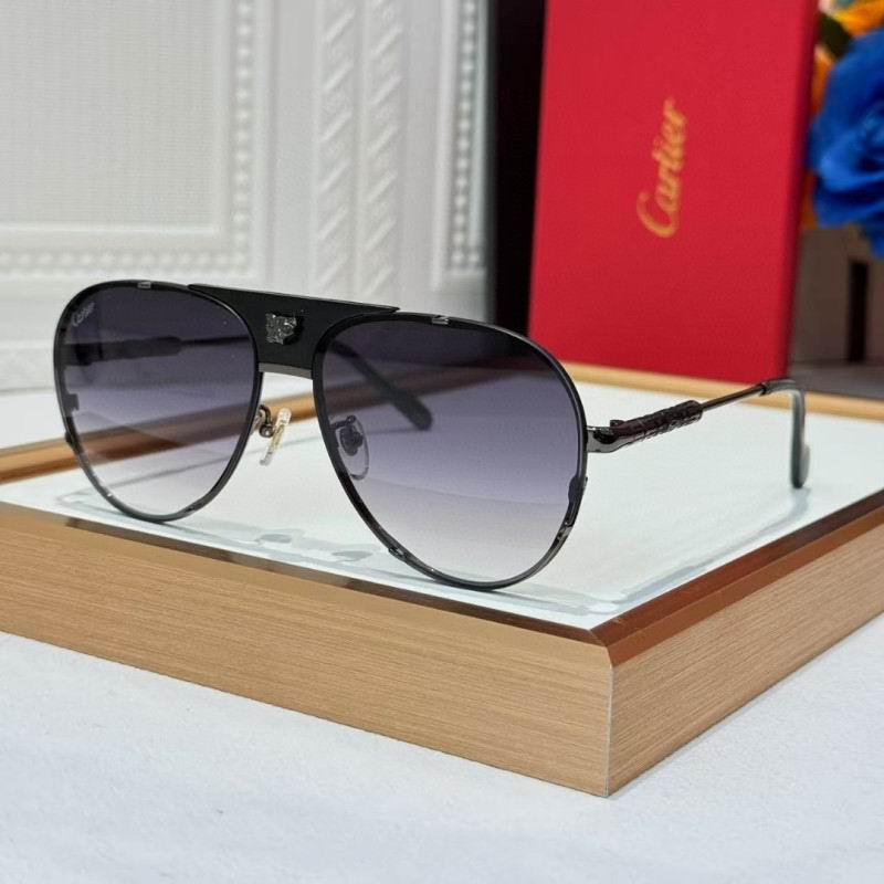 Cartier Glasses 08smh257 (2)