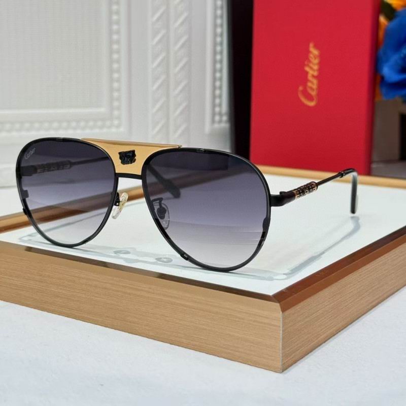 Cartier Glasses 08smh257 (3)