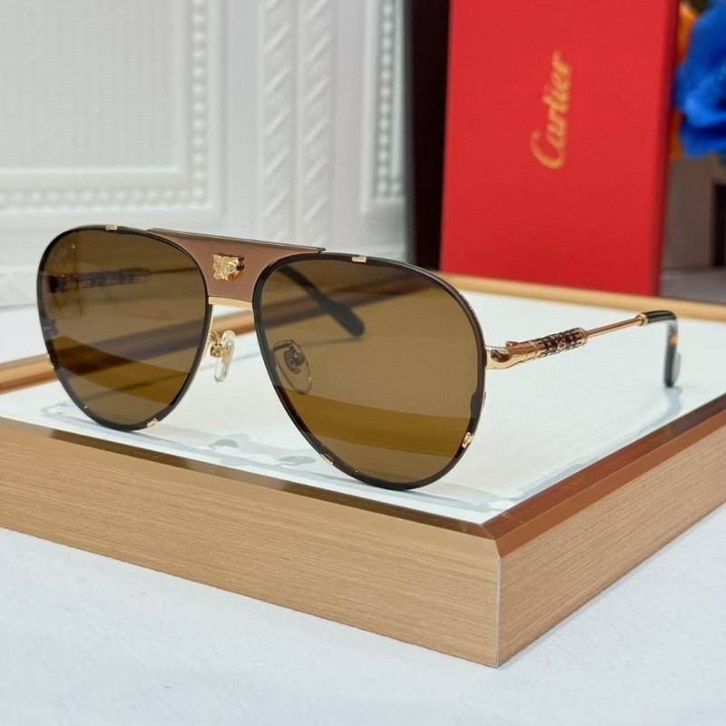 Cartier Glasses 08smh257 (4)