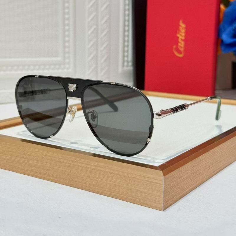 Cartier Glasses 08smh257 (5)