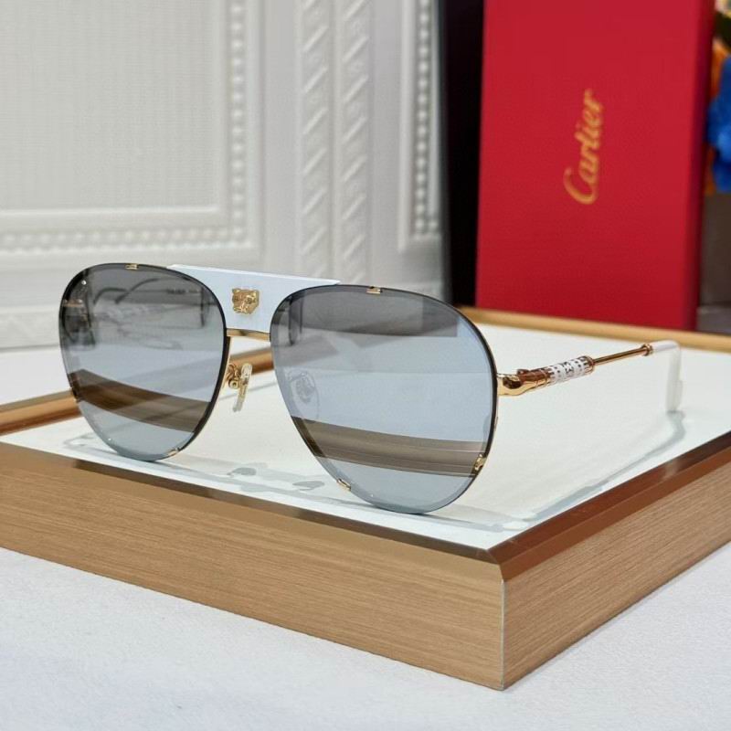 Cartier Glasses 08smh257 (6)