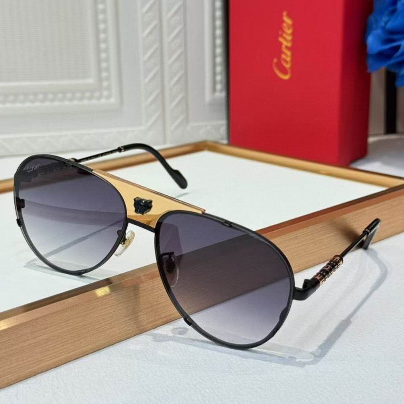 Cartier Glasses 08smh257 (7)