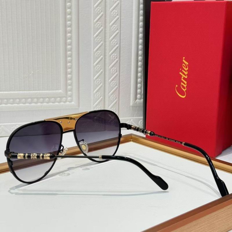 Cartier Glasses 08smh257 (8)