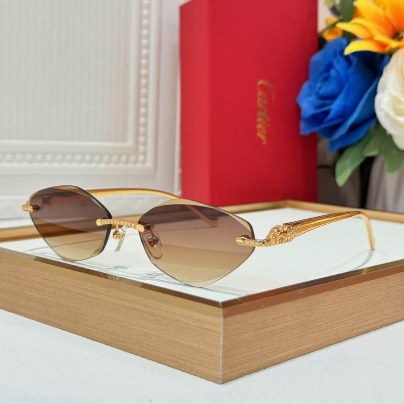 Cartier Glasses 08smh258 (1)