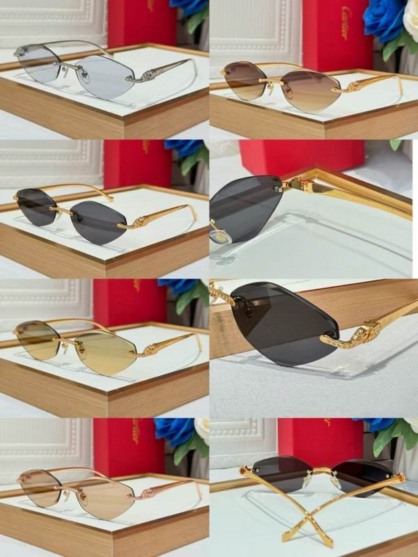 Cartier Glasses 08smh258 (10)