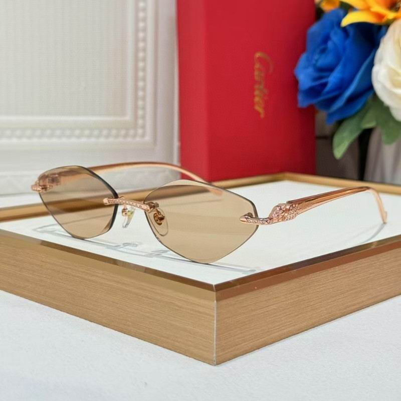 Cartier Glasses 08smh258 (2)