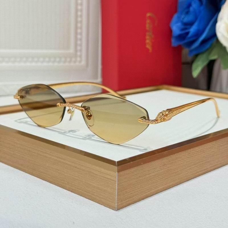 Cartier Glasses 08smh258 (3)