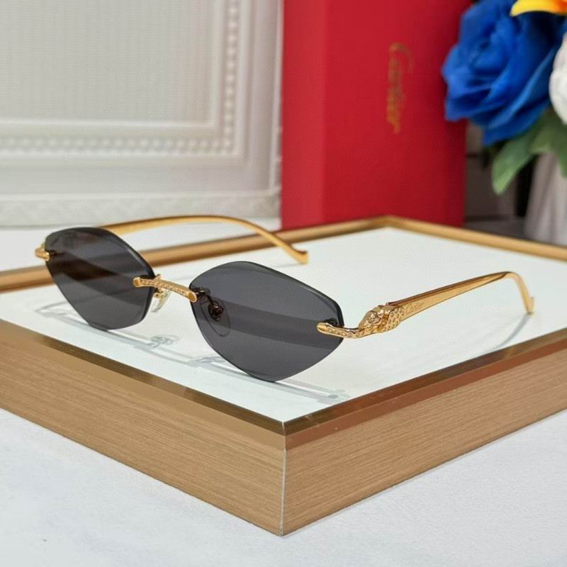 Cartier Glasses 08smh258 (4)