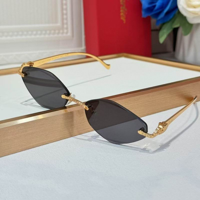 Cartier Glasses 08smh258 (6)