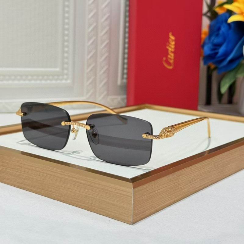 Cartier Glasses 08smh259 (1)