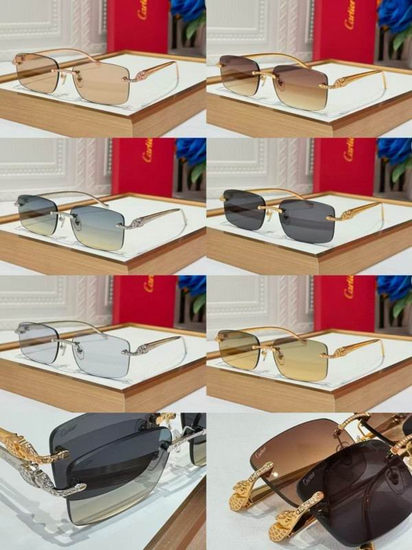 Cartier Glasses 08smh259 (10)