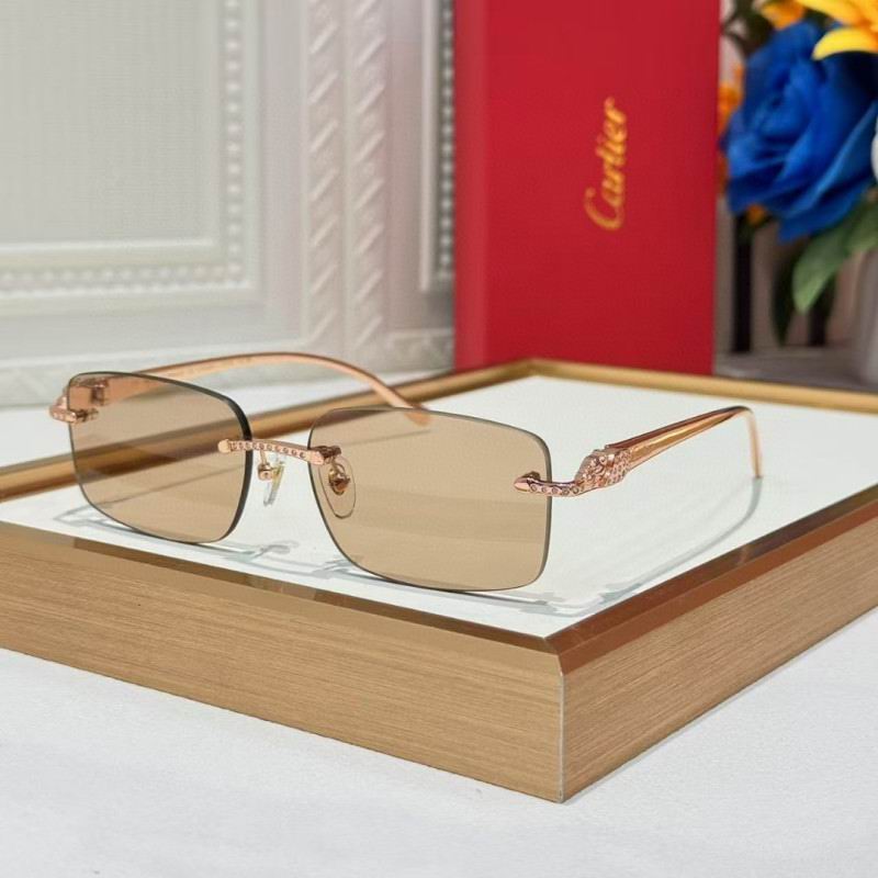 Cartier Glasses 08smh259 (6)