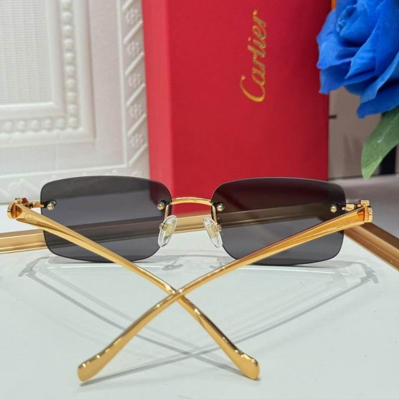 Cartier Glasses 08smh259 (7)