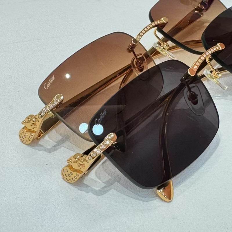 Cartier Glasses 08smh259 (8)