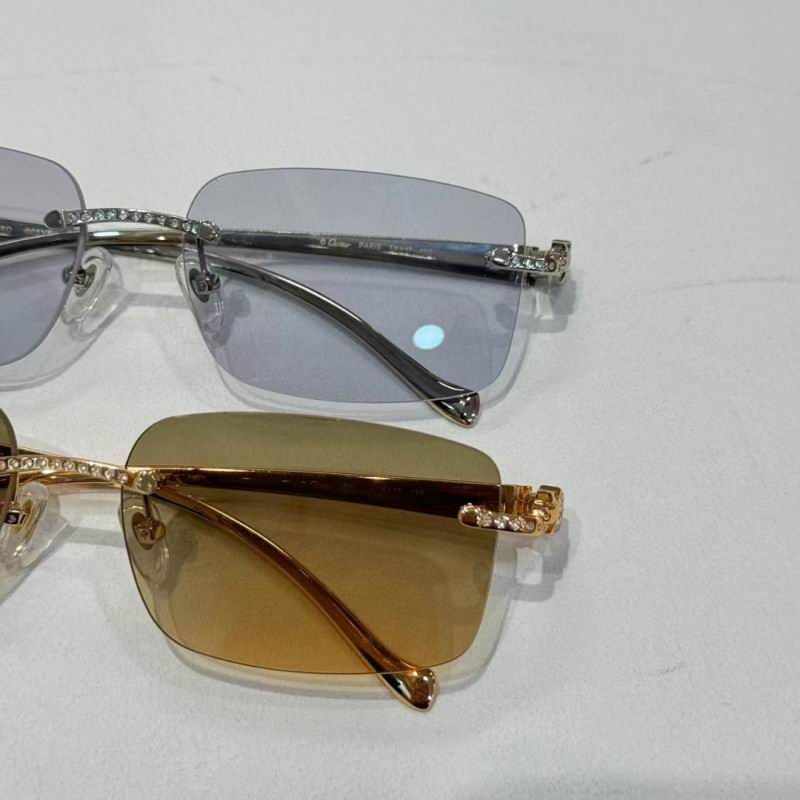 Cartier Glasses 08smh259 (9)