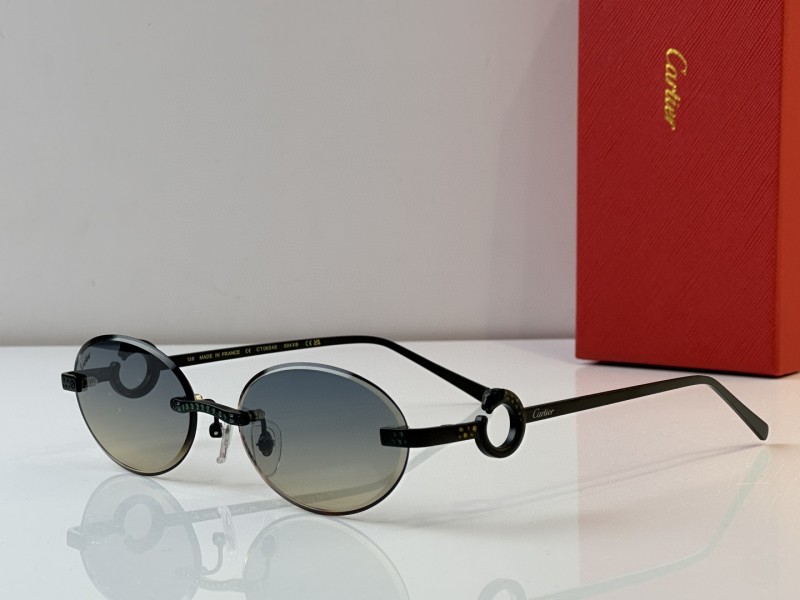 Cartier Glasses 08smh26 (4)