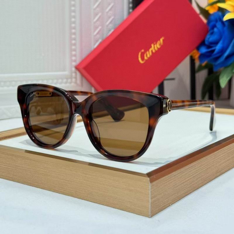 Cartier Glasses 08smh260 (1)