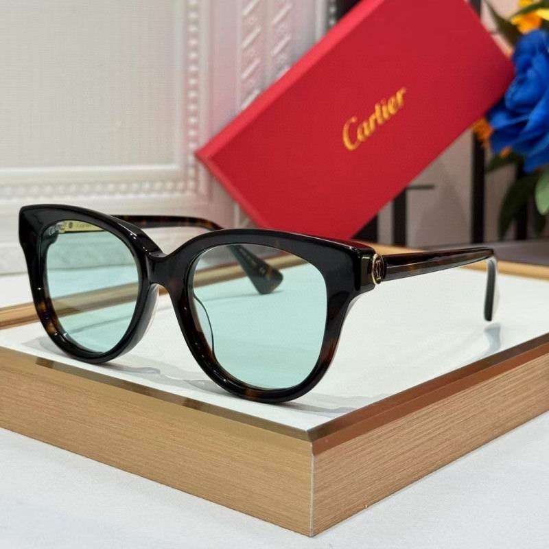 Cartier Glasses 08smh260 (3)