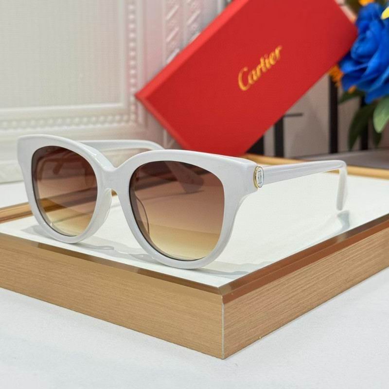 Cartier Glasses 08smh260 (4)