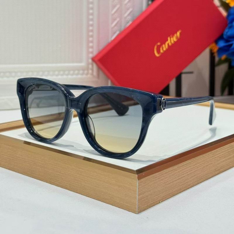 Cartier Glasses 08smh260 (5)